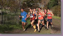 Begles 15.12.13 01 1065 * 680 x 380 * (142KB)